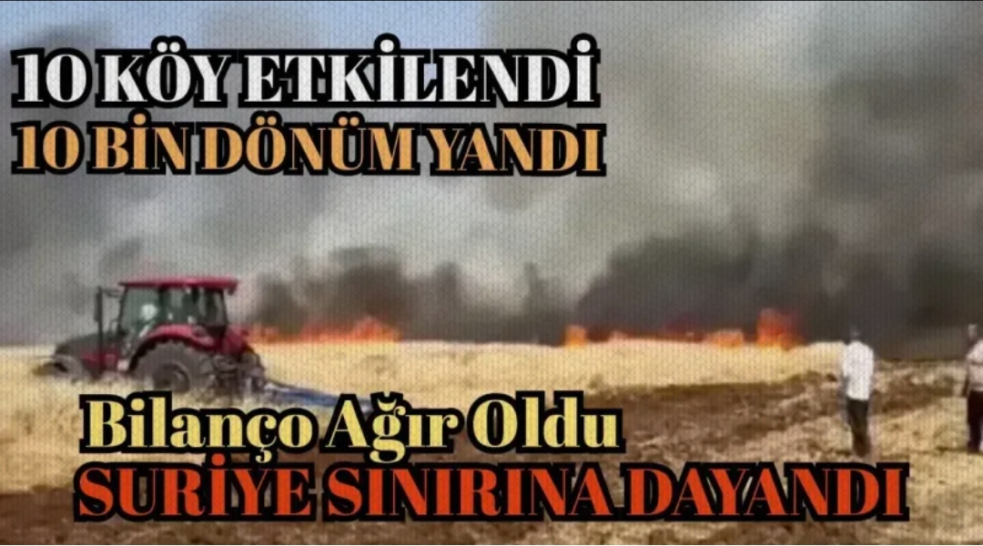 Kızıltepe’de yangının Suriye sınırına dayandı: 10 bin dönüm arazi yandı