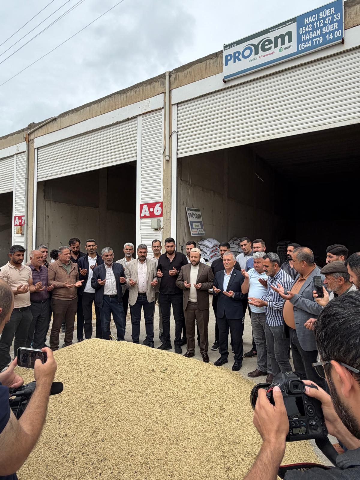 Mardin’de Sezonun ilk arpa hasadı yapıldı